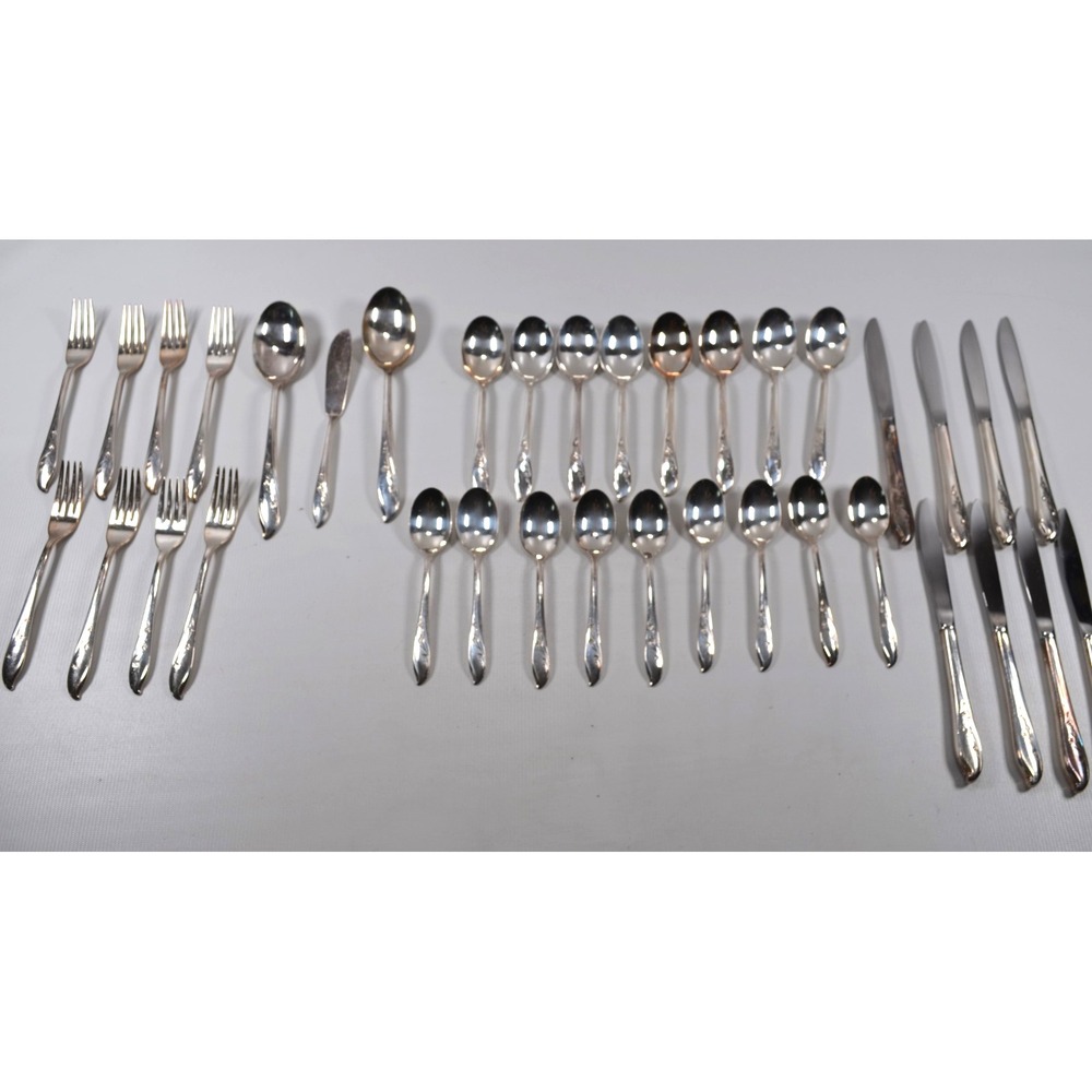 1847 Rogers Bros Springtime Silverware Flatware Set 36 Pieces Service for 8
